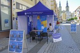 Legnica. W niedzielę weź udział w Narodowym Spisie Powszechnym na basenie AquaFun lub w Centrum Dialogu Obywatelskiego w Rynku