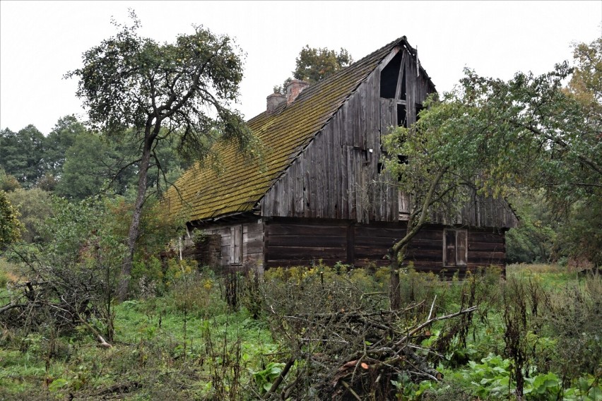 Gmina Zbąszyń. Stary opuszczony dom w lesie. Miejsce tajemnicze, pełne uroku! W naszej gminie są takie perełki!