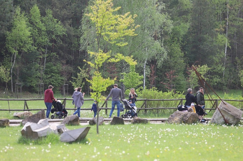 Park Gródek w Jaworznie podczas weekendu odwiedziły tłumy....