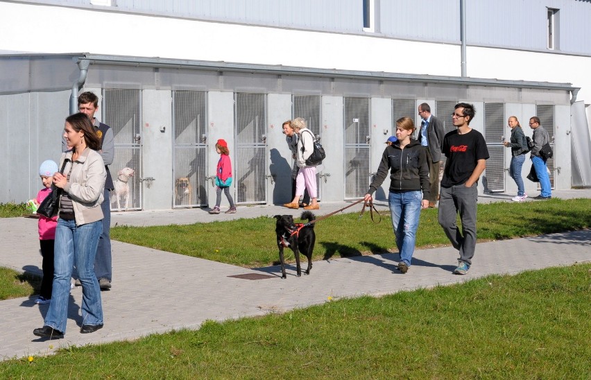 Lublin: Dzień otwarty w schronisku dla zwierząt (ZDJĘCIA)
