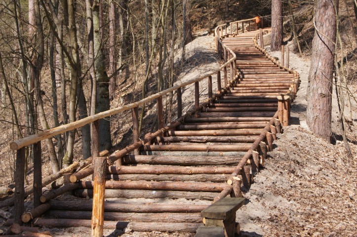 Turyści i mieszkańcy będą mogli łatwiej dojść na plażę w Jantarze - powstały nowe schody w lesie