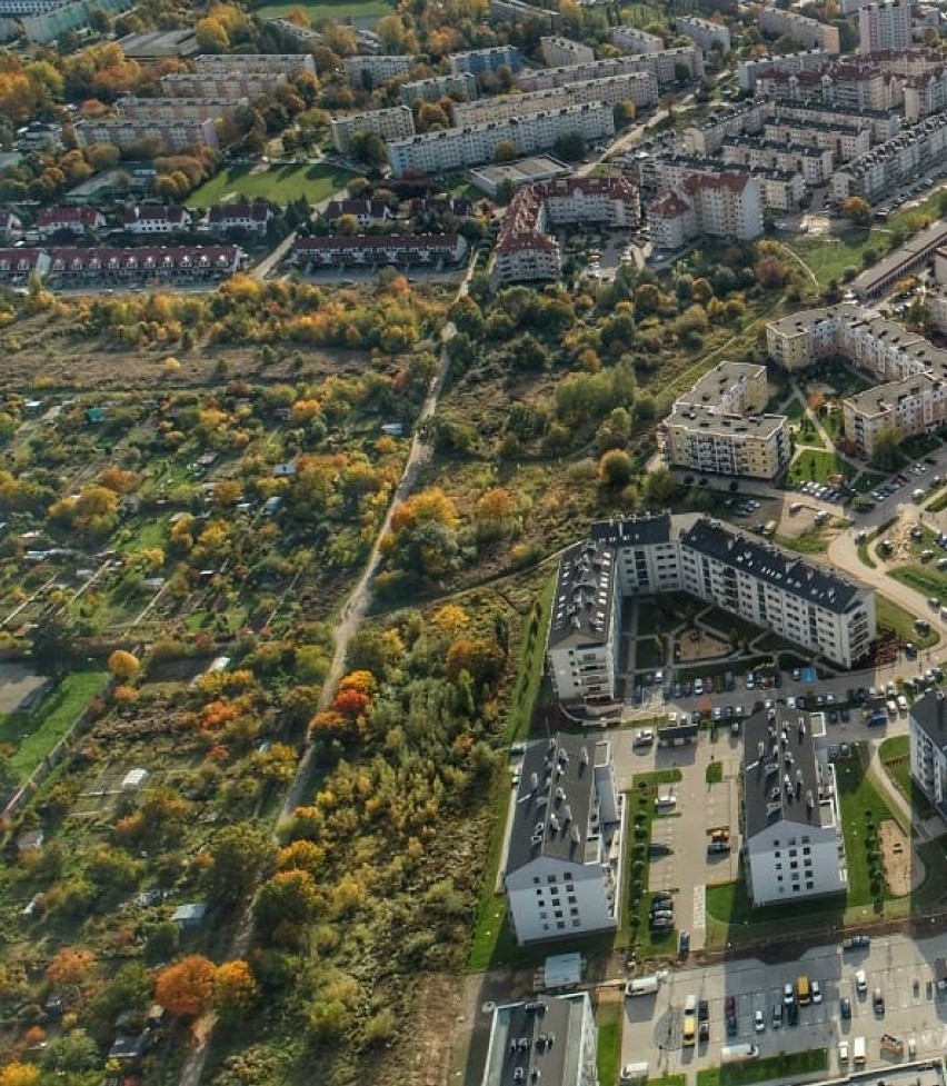 Ogrodów działkowych w Gorzowie jest wiele