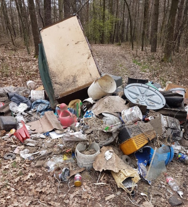 Zrobili porządek w stodole, śmieci wysypali do lasu. Byli pijani