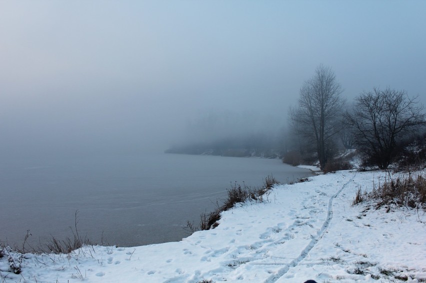 Zimowy spacer nad Kamionką Bolko [zdjecia] 