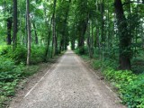 Park Strzygowskiego w Bielsku-Białej będzie ładniejszy. Co zmieni się w tym miejscu?
