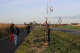 Posadzono nowe drzewa między Szymanowem a Kowalikami. Pomogli uczniowie Zespołu Szkół Zawodowych w Rawiczu [ZDJĘCIA]