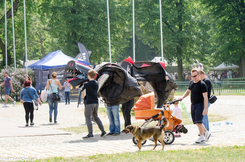 Wyścigi konne na Partynicach