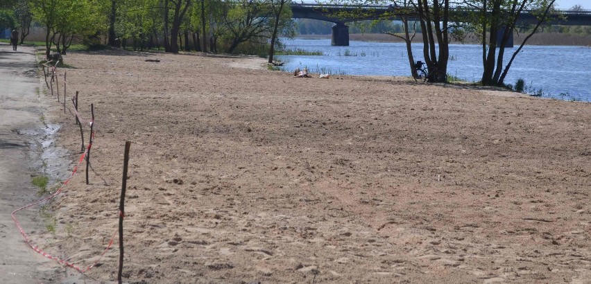 Malbork. Odtworzono dziką plażę nad Nogatem [ZDJĘCIA]