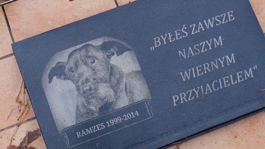 Pierwszy w Polsce cmentarz dla zwierząt powstał w 1991 roku...
