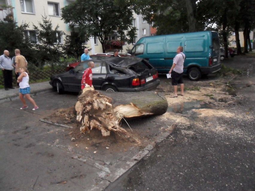 Drzewo uszkodziło samochody