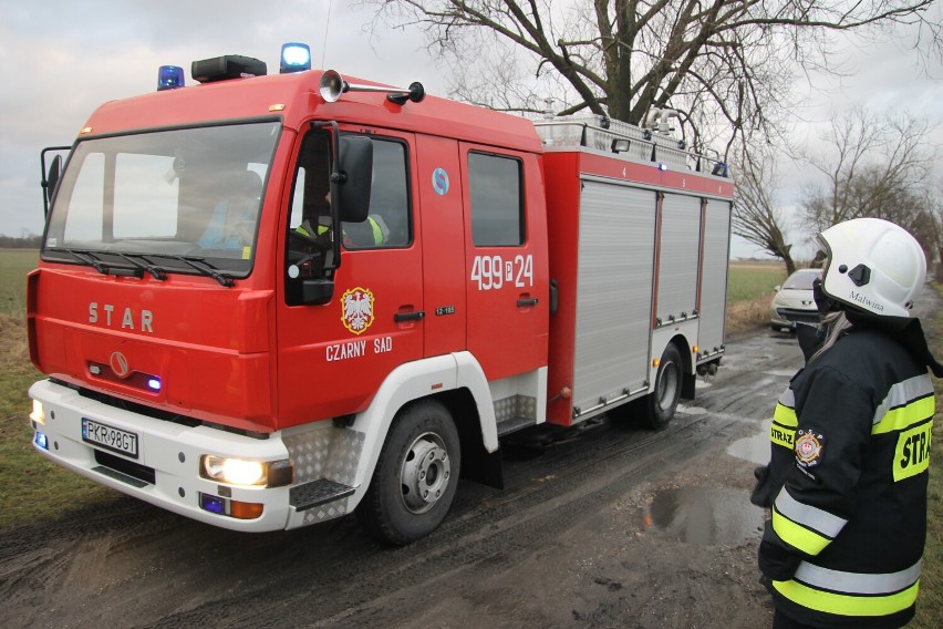 Silne wiatry w powiecie krotoszyńskim. Strażacy interweniowali już 38 razy! [ZDJĘCIA]