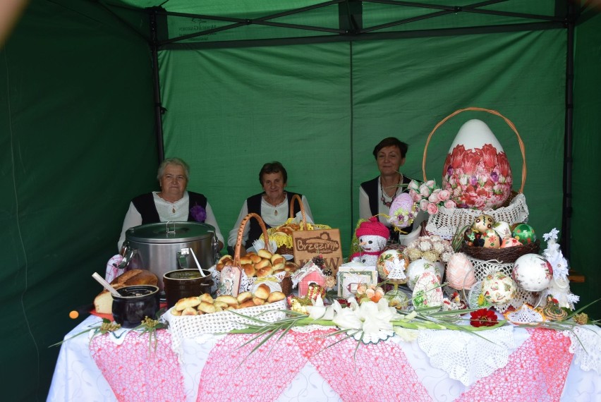 Chełm. Piknik Rodzinny PiS w Kumowej Dolinie (ZDJĘCIA)