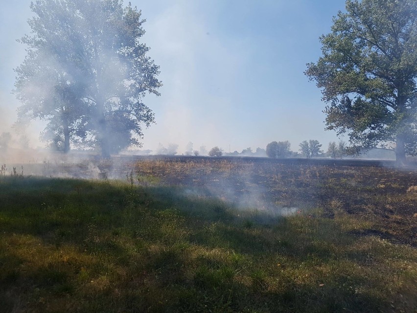 Pożar w okolicach miejscowości Chyże w gminie Krosno...