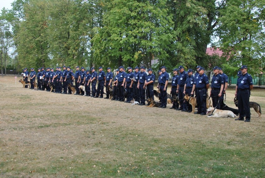 "Black" z Torunia najlepszym psem polskiej Policji