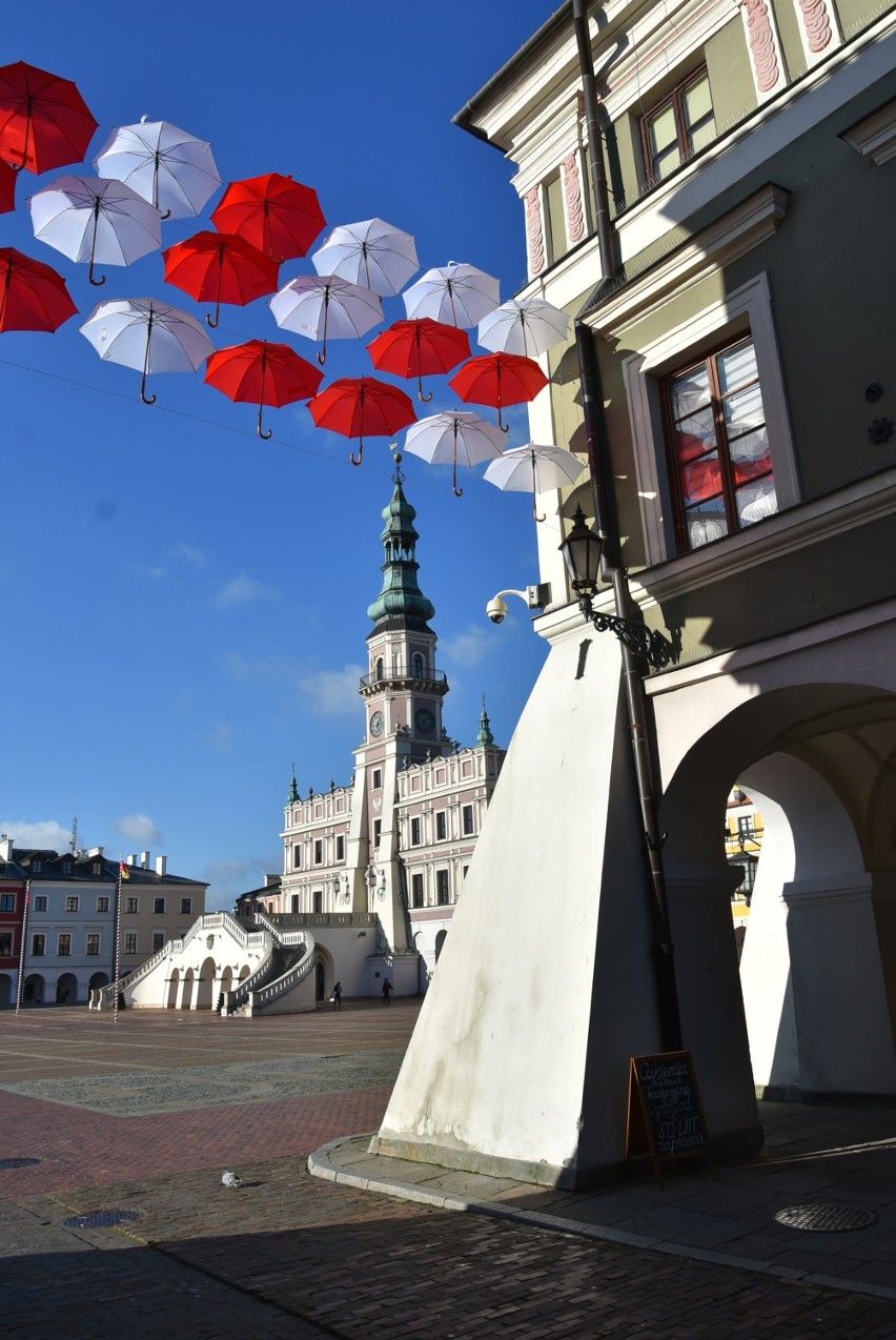 Patriotyczne parasolki na starym mieście. Zobacz zdjęcia