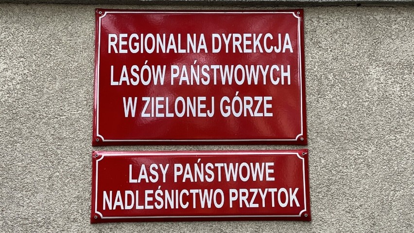 Regionalna Dyrekcja Lasów Państwowych w Zielonej Górze...