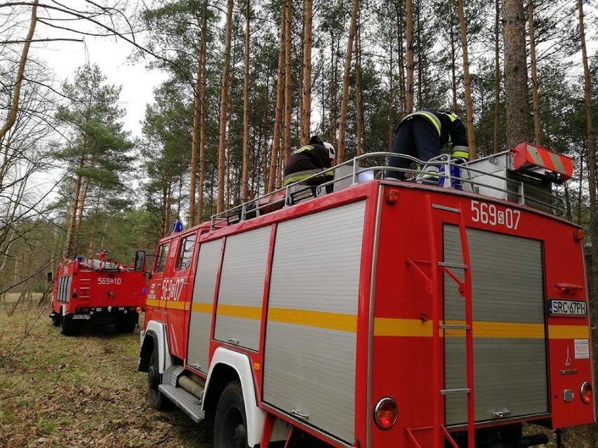 Strażacy gasili pożar w lesie w Rudach