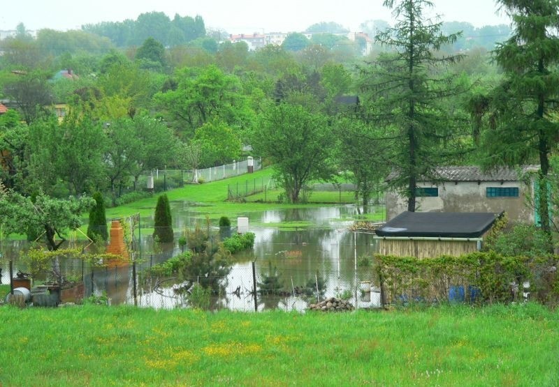 Działki w Pleszewie znalazły się pod wodami Neru