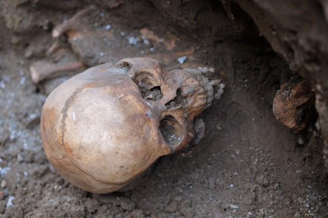 W trakcie remontu ul. Katedralnej w Tarnowie w marcu 2019 r. robotnicy natrafili na ludzkie szczątki. 
Ludzkich szkieletów było bardzo wiele. Prace zostały wstrzymane.