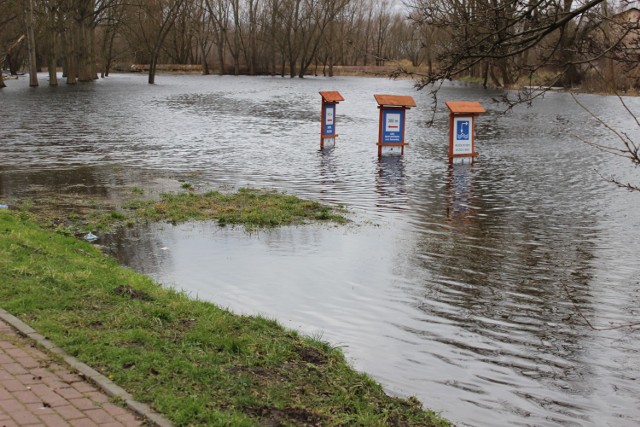 Międzyrzeczanie nie pamiętają tak wysokiego stanu rzeki o tej porze roku.