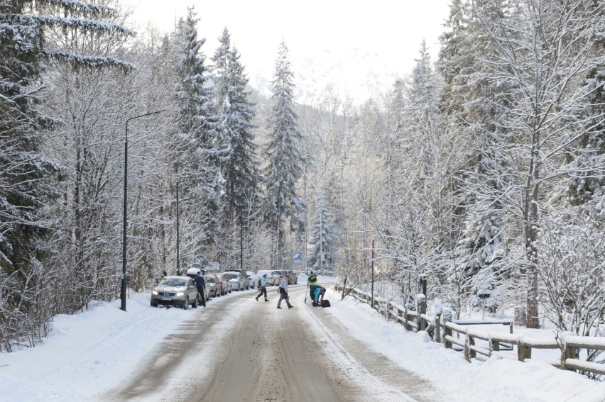 Zakopane znów na biało. Krótki powrót zimy pod Giewont [ZDJĘCIA]