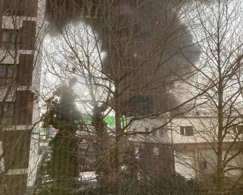 Pożar na placu budowy przy ul. Krakowskiej we Wrocławiu. Jedna osoba poszkodowana [ZDJĘCIA]