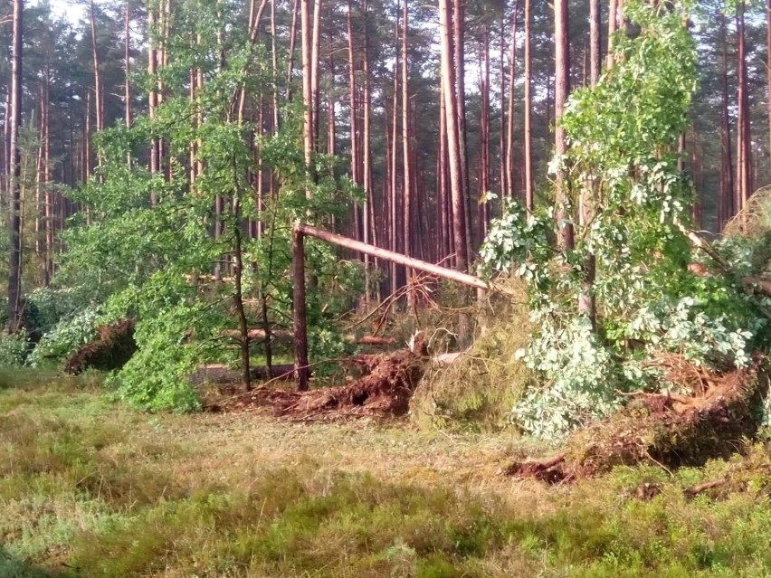 Burza nad powiatem bytowskim, ewakuacja obozów koło...