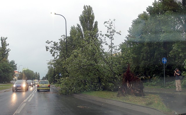 . Internauci szukają informacji, gdzie jest burza. Chcą oglądać mapę burzową online.ysztof / polska press *** local caption *** lodz dziennik lodzki