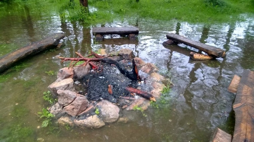 Chrzanów. Woda ze stawu wraz z rybami przelała się na ulicę