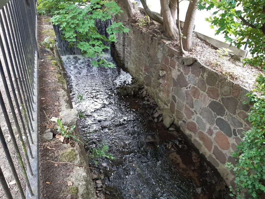 Mury przy wodospadzie w Goleniowie się sypią. Wody Polskie pieniędzy na ich remont nie mają