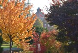Park nad Nacyną w Rybniku najpiękniejszy jesienią ZDJĘCIA