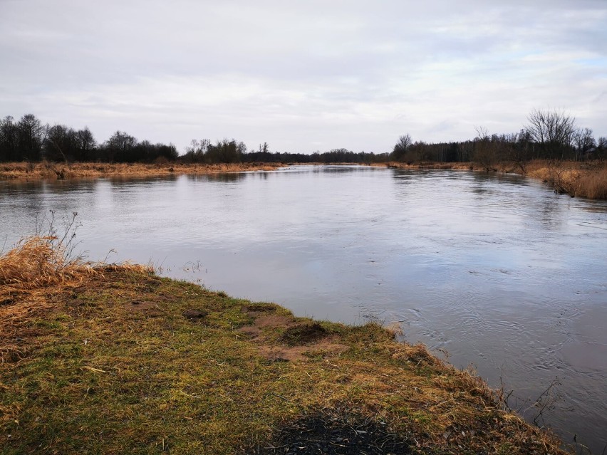 Rzeki wezbrały, ale nie ma zagrożenia powodziowego w powiecie zduńskowolskim