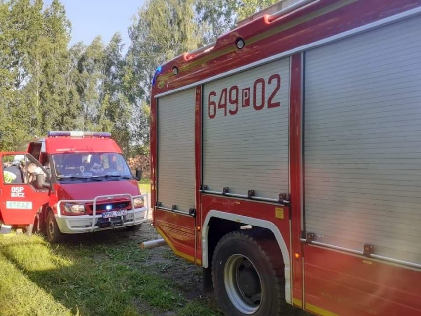 Dramatycznego odkrycia dokonano w Błotnicy. Jest to pierwszy...