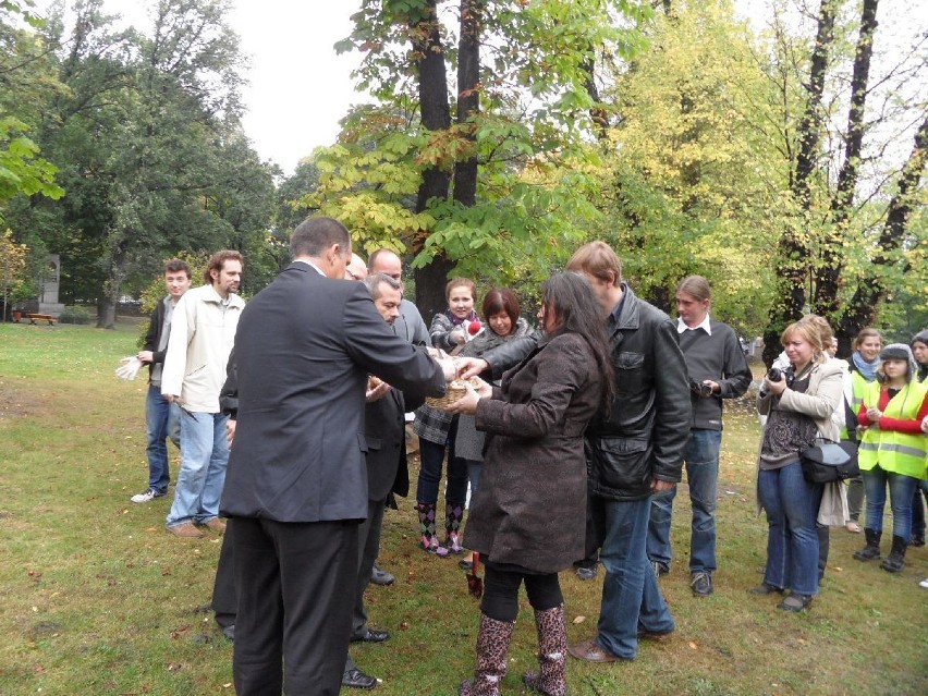 Dzisiaj w Gliwicach posadziliśmy żonkile, tym samym rozpoczynając akcję ,,Słoneczna Polana Nadziei&quot;