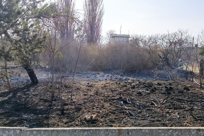 13 kwietnia 2022 r. doszło do pożaru traw w Kalmuzach (gm....