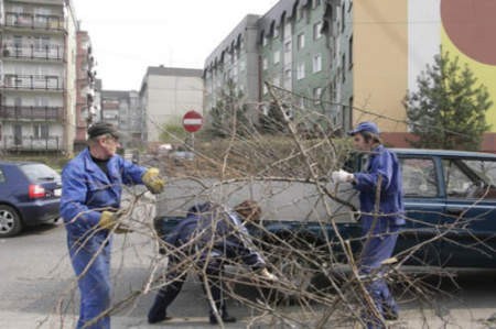 Bogusław Gzil i Jan Caban sprzątają poobcinane gałęzie drzew.