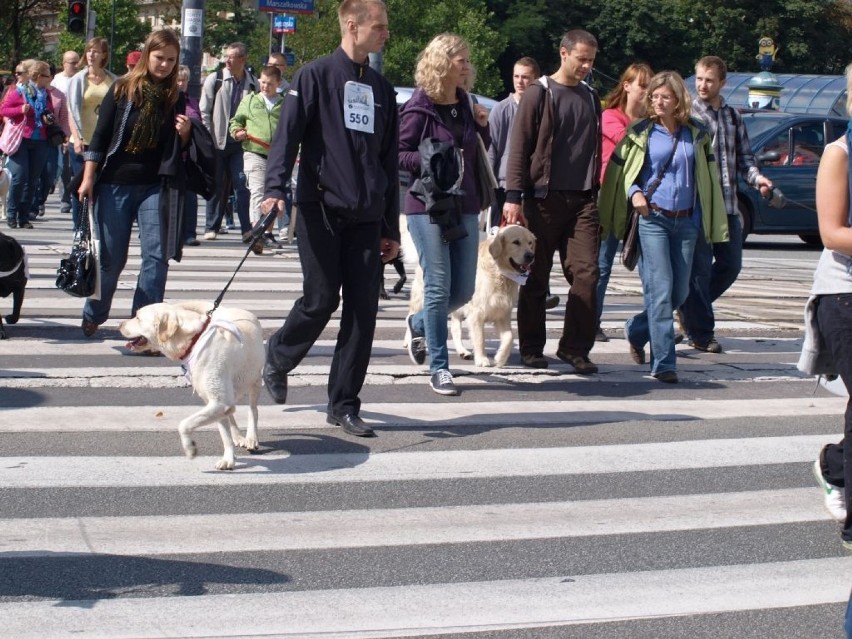 Uczestniczy przemaszerowali trasą o długości prawie 5 km.