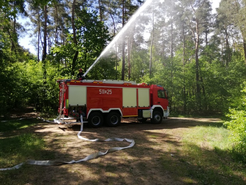 Straż pożarna z Rypina ruszyła do lasu [zobacz zdjęcia]