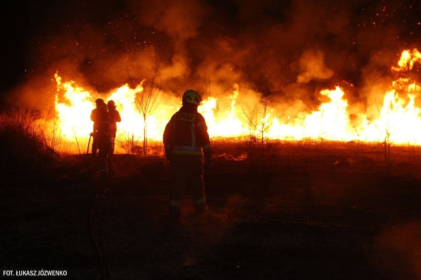 Pożar w Michałowicach - 25.03.2022r.