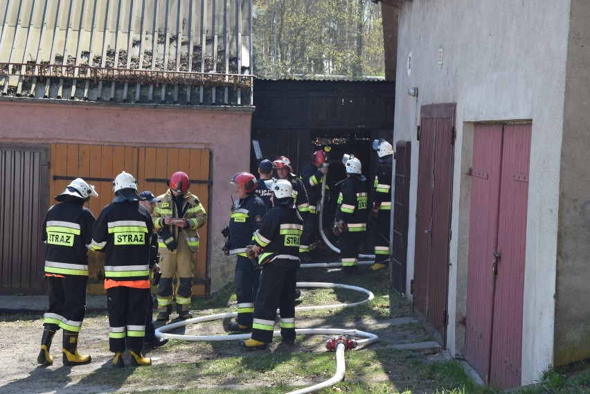 Miastko. Pożar drewnianej szopki (WIDEO, FOTO)