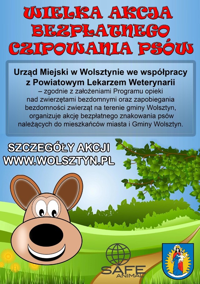 Kolejna akcja bezpłatnego znakowania psów na terenie gminy Wolsztyn