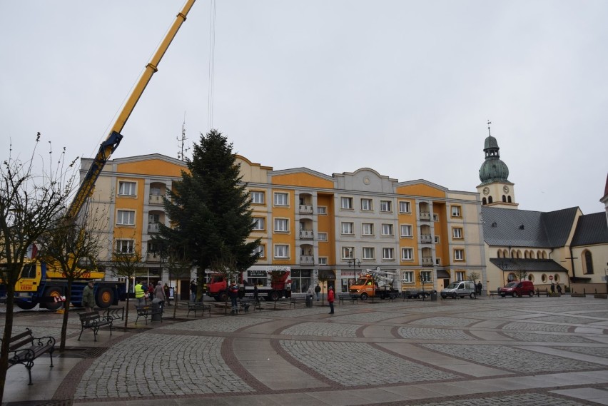Człuchów. Droga świątecznego drzewka sprzed bloku przy Słowackiego na rynek (zdjęcia, video)