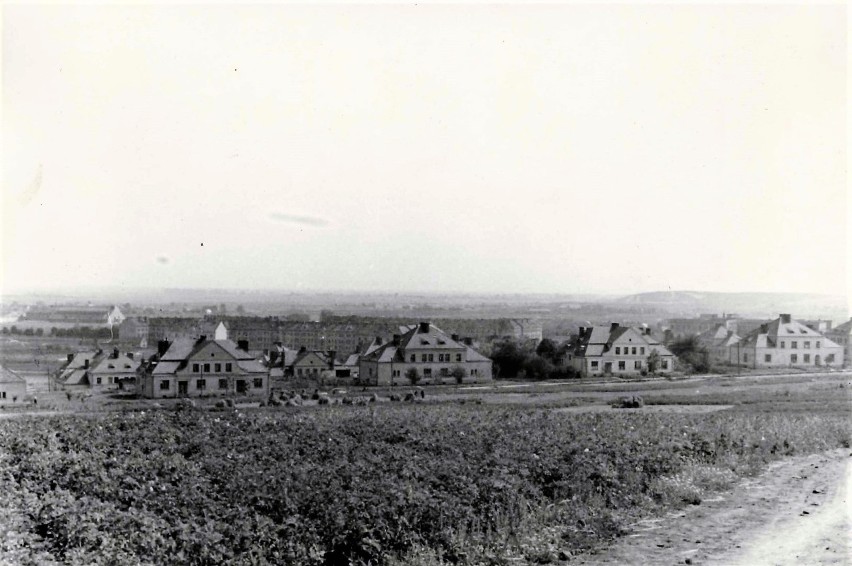 Chełm, 1954 r.

Widok z Góry Chełmskiej w kierunku...