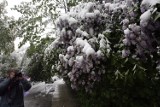 Pamiętacie majowy śnieg w Legnicy? To już trzynaście lat minęło, zobaczcie zdjęcia