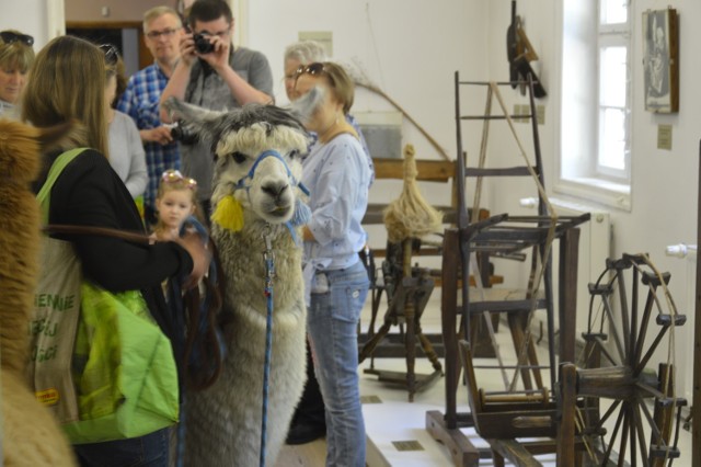 Zapraszamy na wirtualny spacer po muzeum. Zobaczcie jakie zdjęcia przez ostatnie lata udało nam się zrobić w placówce, jak się zmieniała i jakie imprezy tu organizowano.