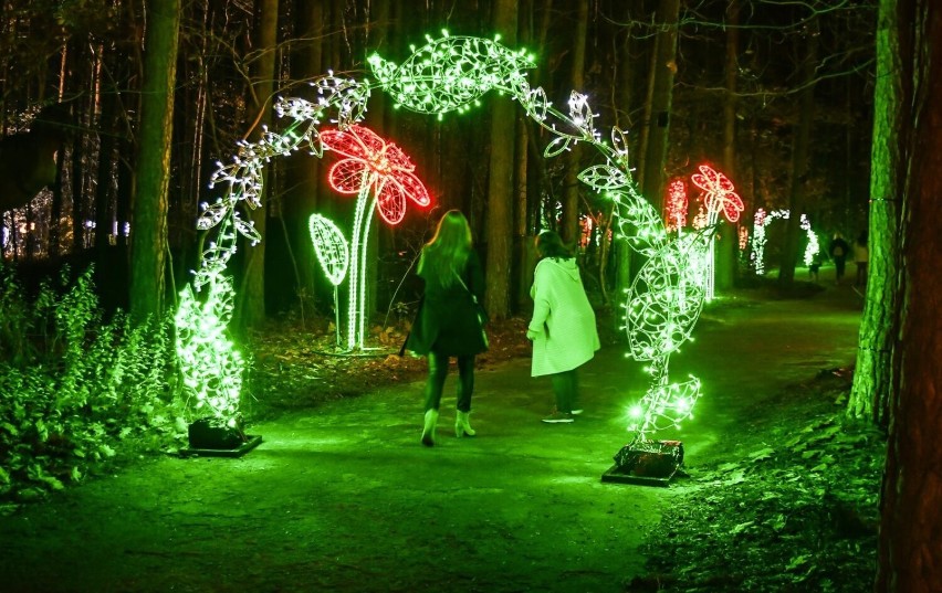 Wielkie otwarcie Lumina Parku w Myślęcinku w sobotę (5...