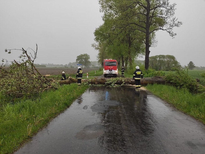 Chodzież. Skutki burzy i ulewy. Powalone drzewo, odwołany rajd