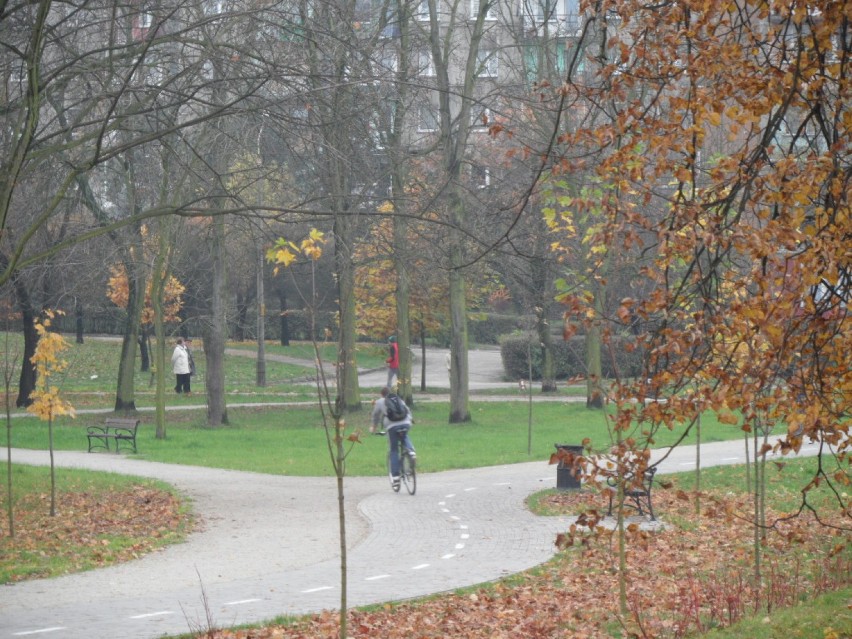 Bytom : Park miejski jesień 2014