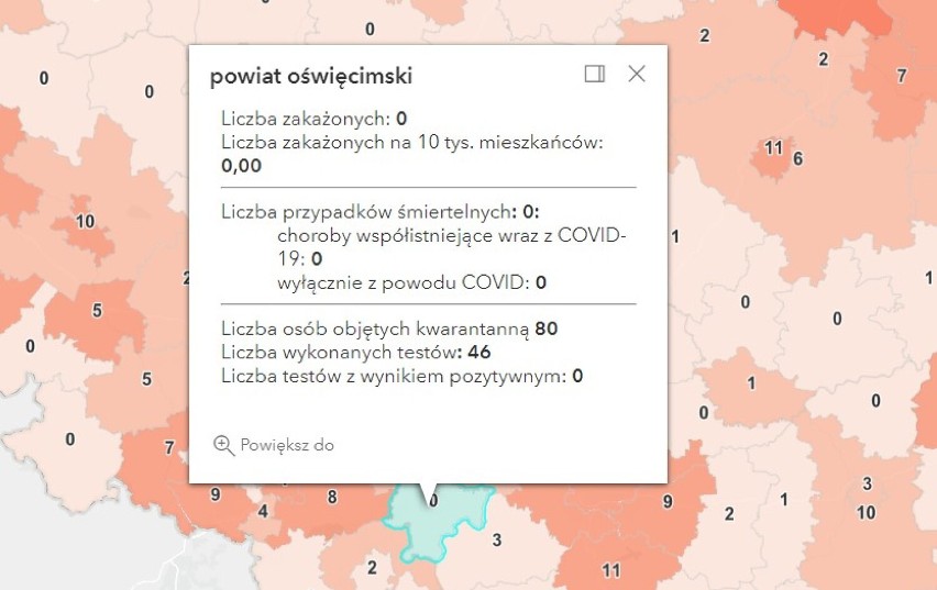 Koronawirus, raport 25 października 2021. Niski - jeszcze - przyrost zakażeń w Oświęcimiu, Olkuszu, Wadowicach i Chrzanowie