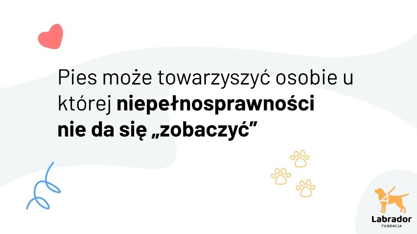 Akcja edukacyjna w MPK Poznań prowadzona przez Fundację na...